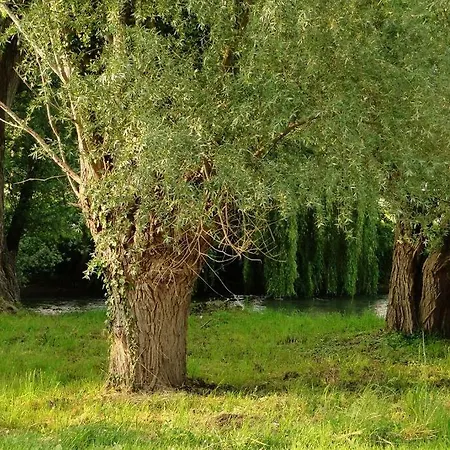 度假居 Miller's Farm. On The Auhtie For 2 *